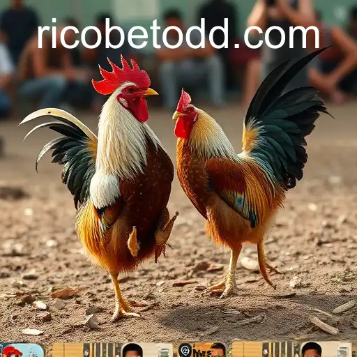 VIP Service ricobet - 24/7 Support and Exclusive Benefits